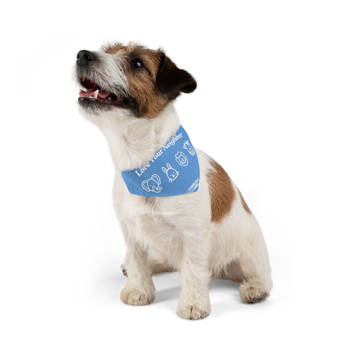 Love Your Neighbor Pet Bandana Collar