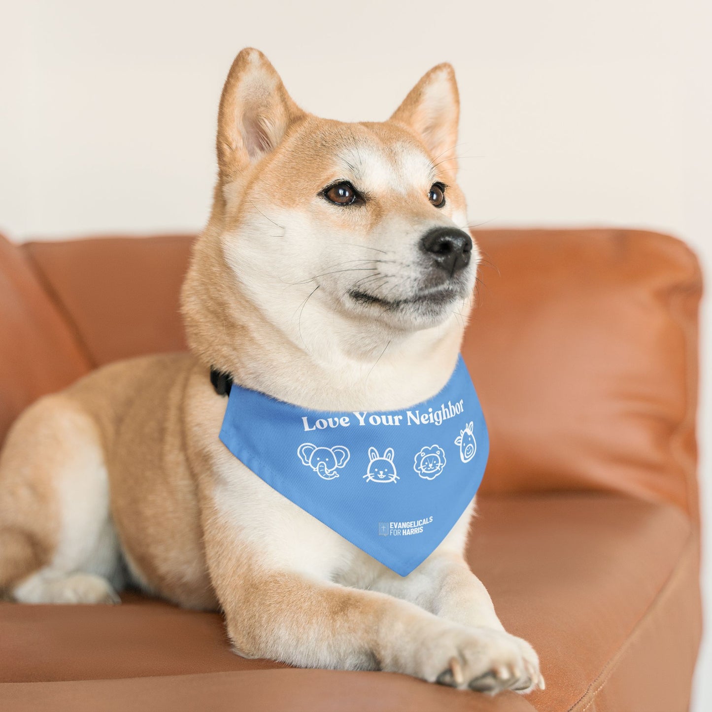 Love Your Neighbor Pet Bandana Collar