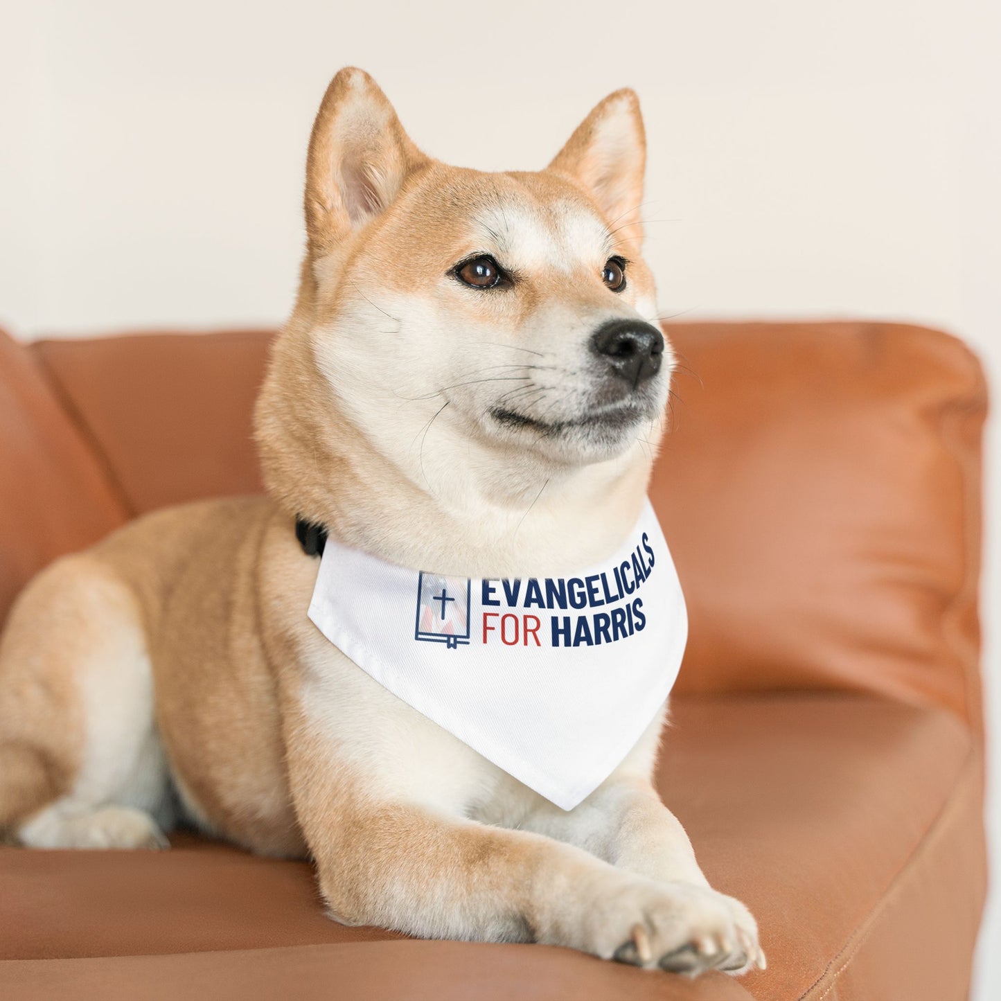 Evangelicals For Harris Pet Bandana Collar