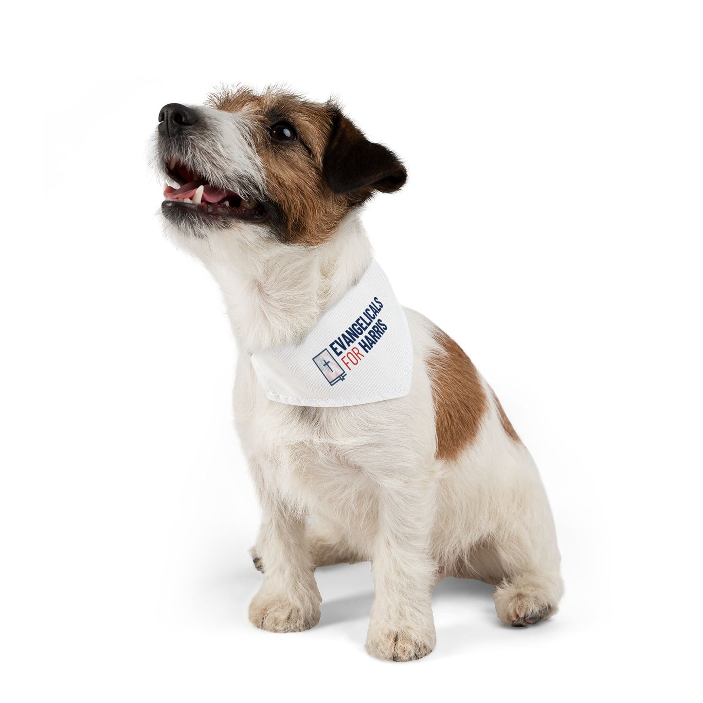 Evangelicals For Harris Pet Bandana Collar